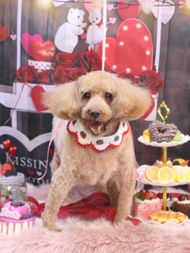 20050218ケンくん